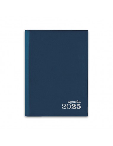 Agenda Diária 2025 Basic A5 Azul