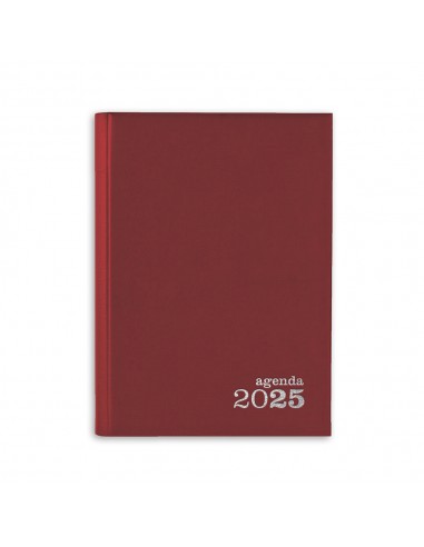 Agenda Diária 2025 Basic A5 Vermelho