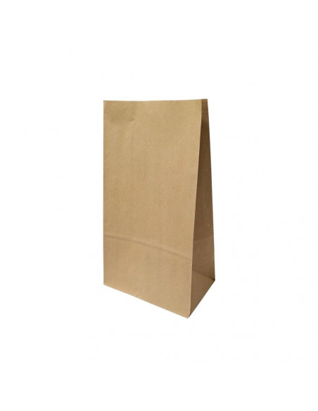 Saco sem Asas 20x12x37,5cm Papel Kraft 070g 1un