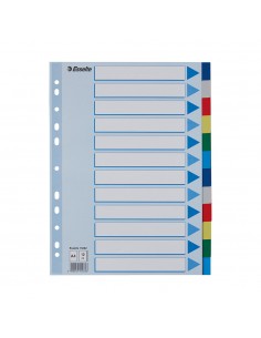 Separadores A4 Polipropileno Cores Sortidas 12 Pestanas