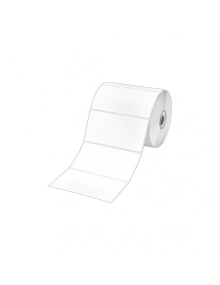 Etiquetas Térmicas Protegidas 55x50mm Adesivas Rolo 8un