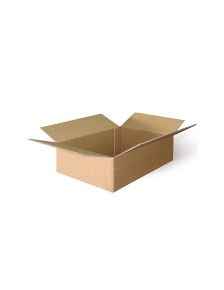 Caixa Cartão Simples 200x150x100mm 20un