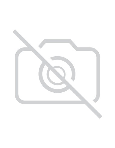 Tinteiro Compatível Epson 16XL Magenta 10ml 450 Pág.