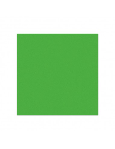 Etiquetas 500x700mm Mate Verde 125Fls