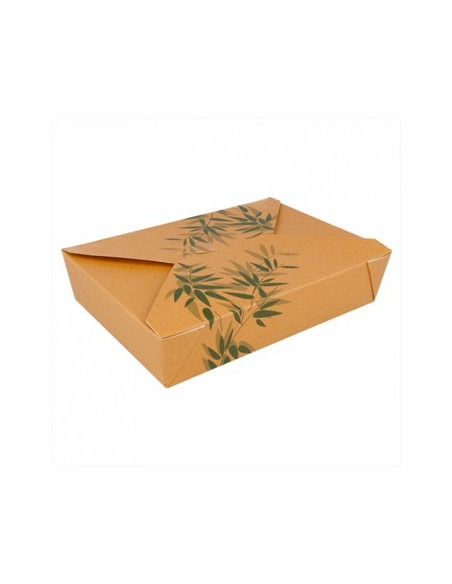Caixa Cartolina Kraft Feel Green19,8x14x4,8cm 1470ml 50un