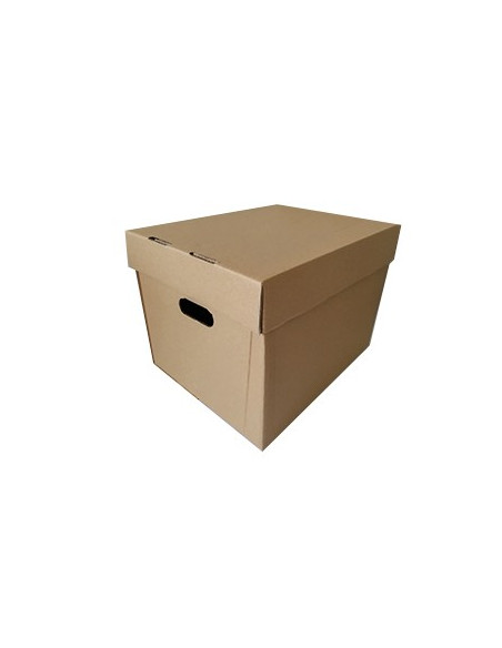 Caixa para Pastas de Arquivo 420x330x300 Pack 10un