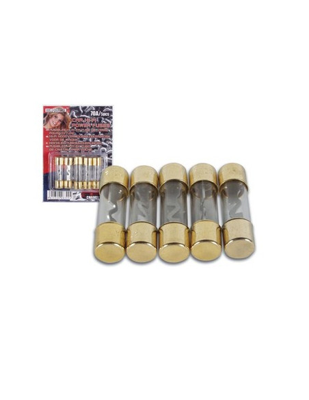 Fusivel  Auto hi-fi fusao rapida 40Amp 5un