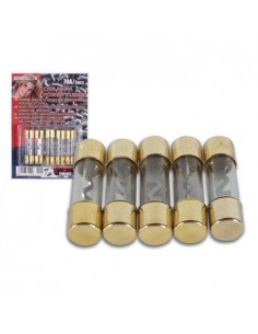 Fusivel  Auto hi-fi fusao rapida 60Amp 5un