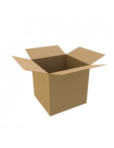 Caixa Cartao Duplo 350x250x200mm Pack 10un