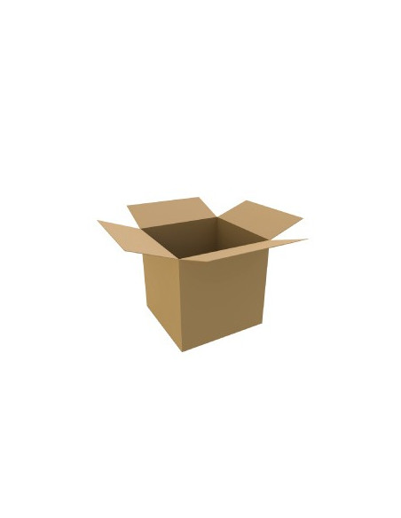 Caixa Cartao Duplo 450x350x300mm Pack 10un