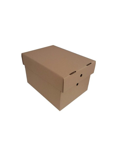 Caixa Cartao Simples c/Tampa 306x226x197mm Pack 25un
