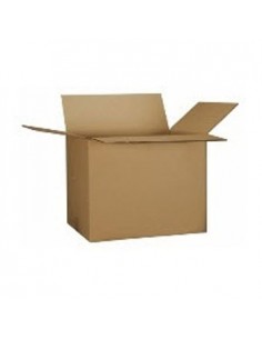 Caixa Cartao Simples 260x210x250mm Pack 20un