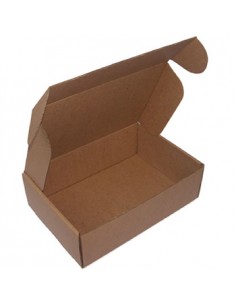 Caixa Cartao Micro P/Expedicao Auto-Montavel 310x220x050mm