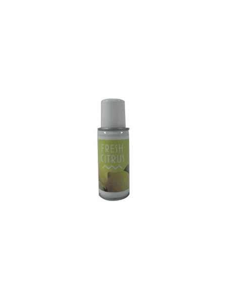 Recarga Ambientador BulkySoft Aerosol Citrus 100ml - 12un