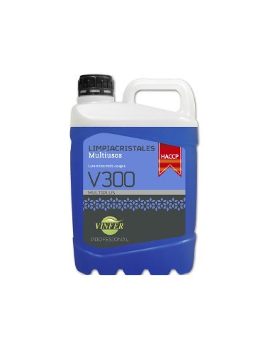 Detergente Limpa Vidros HACCP Vinfer 5Lts