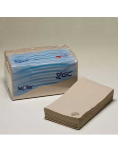 Guardanapos 30x40 1/6 2fls Nature P&P 100% Recycled 150un