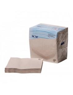 Guardanapos 40x40 2fls Nature P&P 100% Recycled 100un