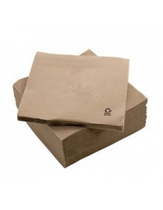 Guardanapos 33x33 2fls Nature P&P 100% Recycled 50un