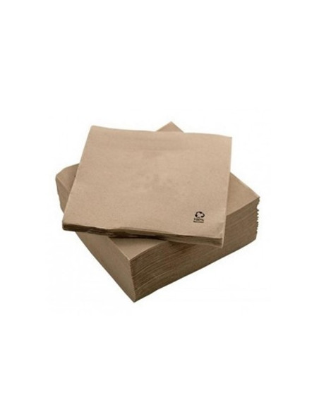 Guardanapos 33x33 2fls Nature P&P 100% Recycled 50un