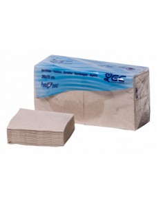 Guardanapos 20x20 2fls Nature P&P 100% Recycled 100un