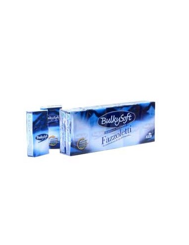 Lencos Papel Facial de bolso BulkySoft 21x21cm 10unx24 (240)