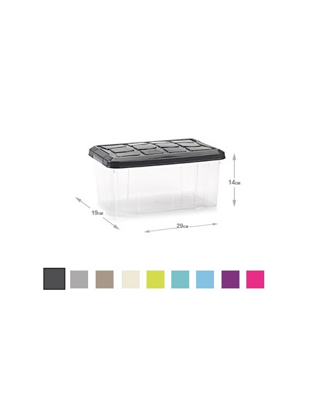 Caixa Plástico 29x19x14cm Cores Sortidas 5L