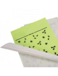 Recarga Adesiva em Lamina de Insectos 4x6un