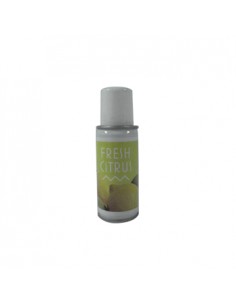 Recarga Ambientador BulkySoft Aerosol Citrus 100ml - 12un